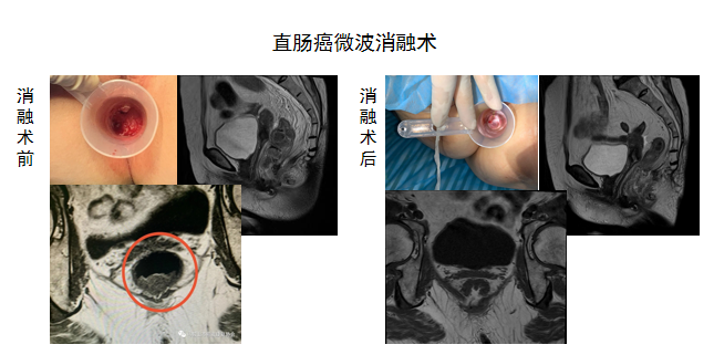 1681782086743641.png 图片6.png